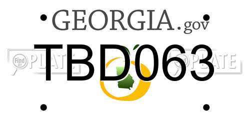 TBD063 Georgia License Plate