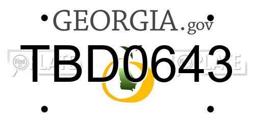 TBD0643 Georgia License Plate
