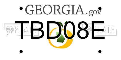 TBD08E Georgia License Plate