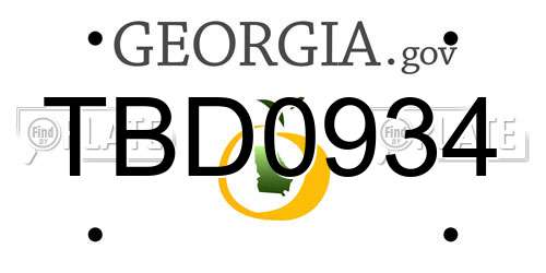TBD0934 Georgia License Plate