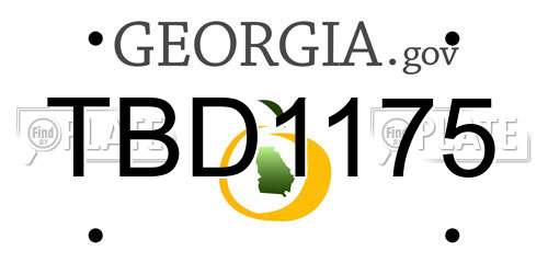 TBD1175 Georgia License Plate