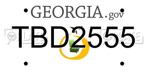 TBD2555 Georgia License Plate