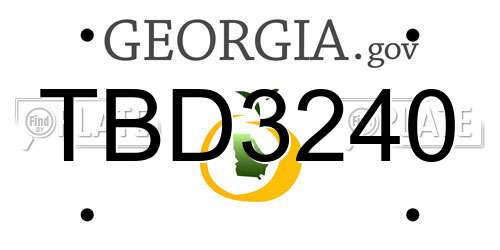 TBD3240 Georgia License Plate