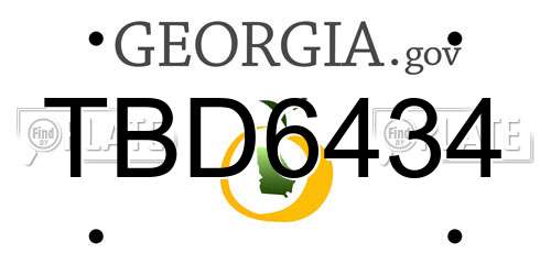 TBD6434 Georgia License Plate