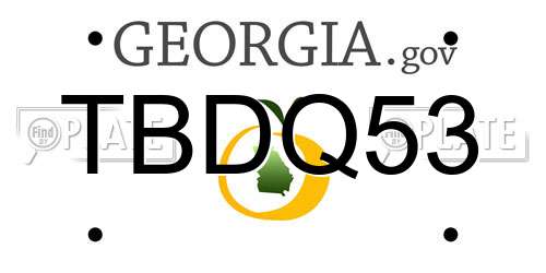 TBDQ53 Georgia License Plate