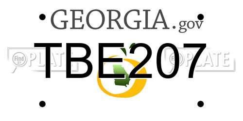 TBE207 Georgia License Plate