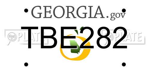 TBE282 Georgia License Plate
