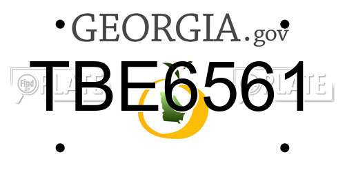 TBE6561 Georgia License Plate