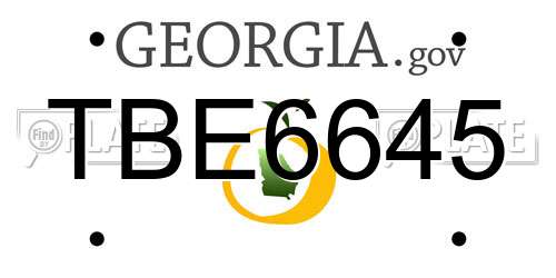 TBE6645 Georgia License Plate