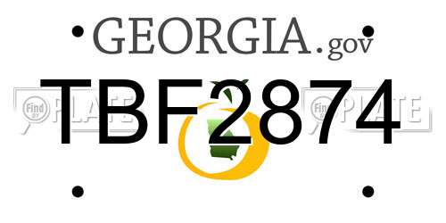 TBF2874 Georgia License Plate
