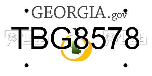 TBG8578 Georgia License Plate