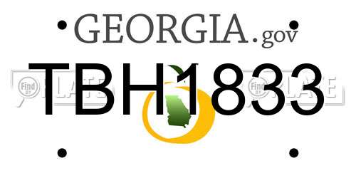 TBH1833 Georgia License Plate