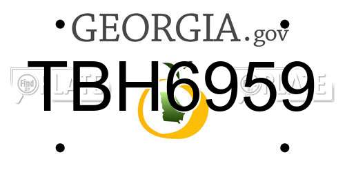 TBH6959 Georgia License Plate