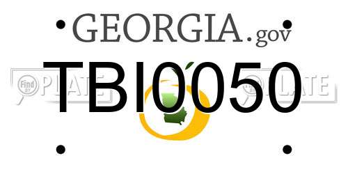 TBI0050 Georgia License Plate
