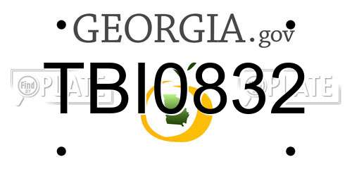 TBI0832 Georgia License Plate