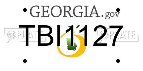 TBI1127 Georgia License Plate