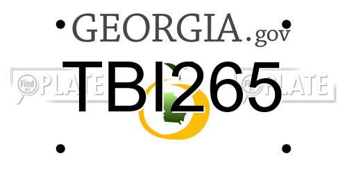 TBI265 Georgia License Plate