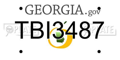 TBI3487 Georgia License Plate