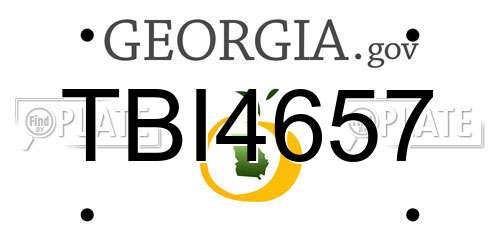 TBI4657 Georgia License Plate