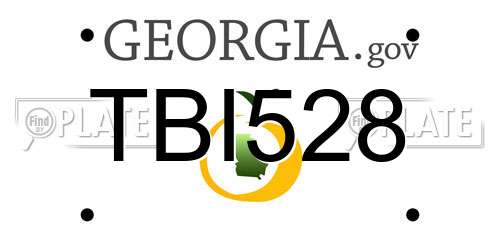 TBI528 Georgia License Plate