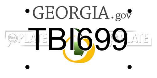 TBI699 Georgia License Plate