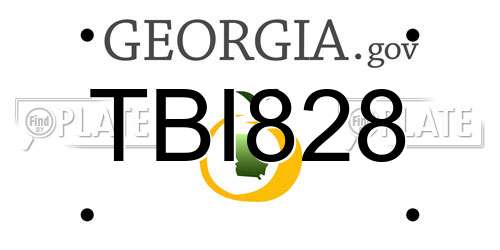 TBI828 Georgia License Plate