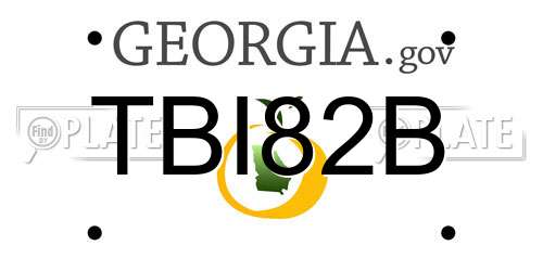 TBI82B Georgia License Plate