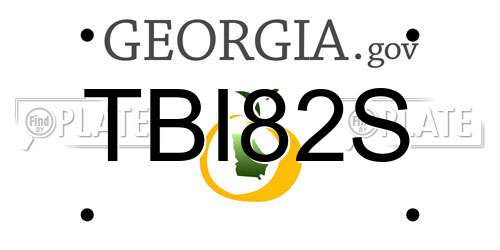 TBI82S Georgia License Plate