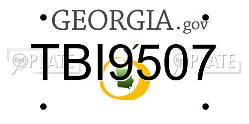 TBI9507 Georgia License Plate