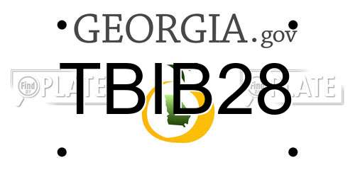 TBIB28 Georgia License Plate