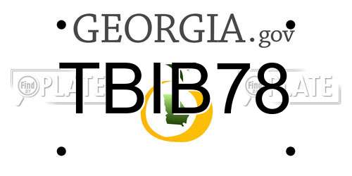 TBIB78 Georgia License Plate