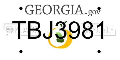 TBJ3981 Georgia License Plate