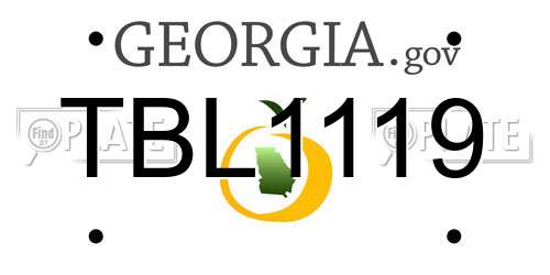 TBL1119 Georgia License Plate
