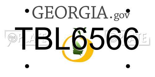 TBL6566 Georgia License Plate