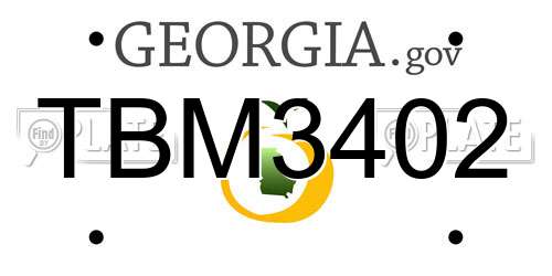TBM3402 Georgia License Plate