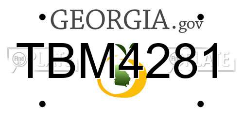 TBM4281 Georgia License Plate