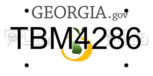 TBM4286 Georgia License Plate