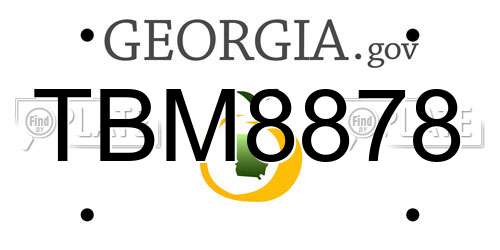 TBM8878 Georgia License Plate
