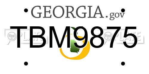 TBM9875 Georgia License Plate