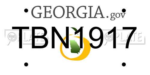 TBN1917 Georgia License Plate
