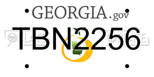 TBN2256 Georgia License Plate