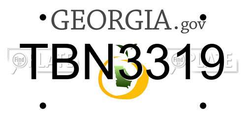 TBN3319 Georgia License Plate