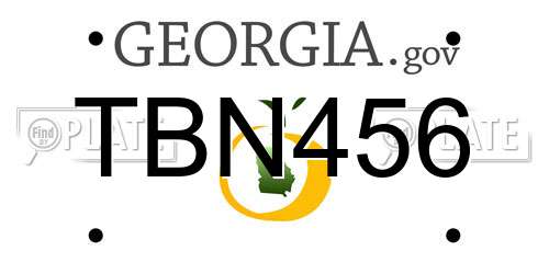 TBN456 Georgia License Plate