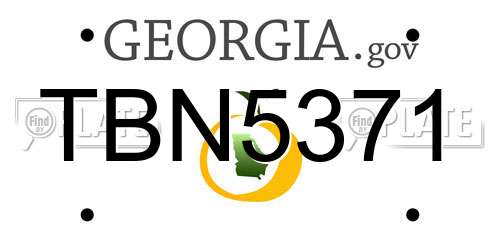 TBN5371 Georgia License Plate
