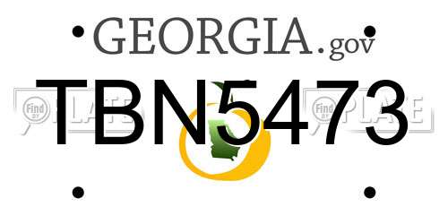 TBN5473 Georgia License Plate