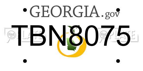 TBN8075 Georgia License Plate