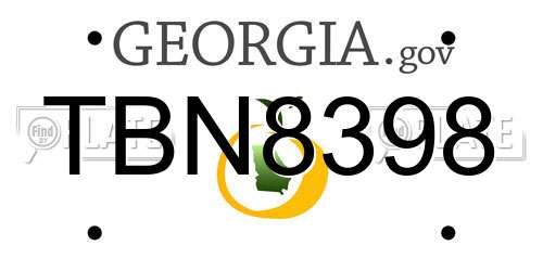 TBN8398 Georgia License Plate