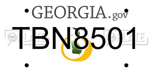 TBN8501 Georgia License Plate