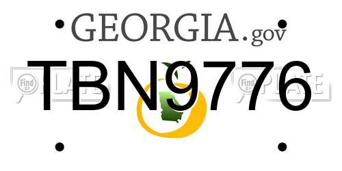 TBN9776 Georgia License Plate