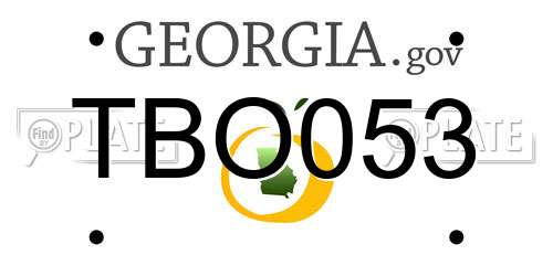 TBO053 Georgia License Plate